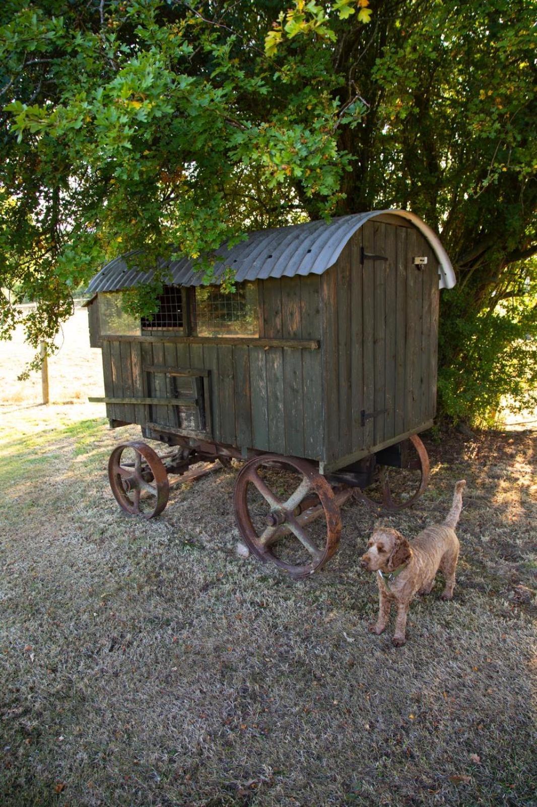 Ebony Cottage 滕伯里 外观 照片