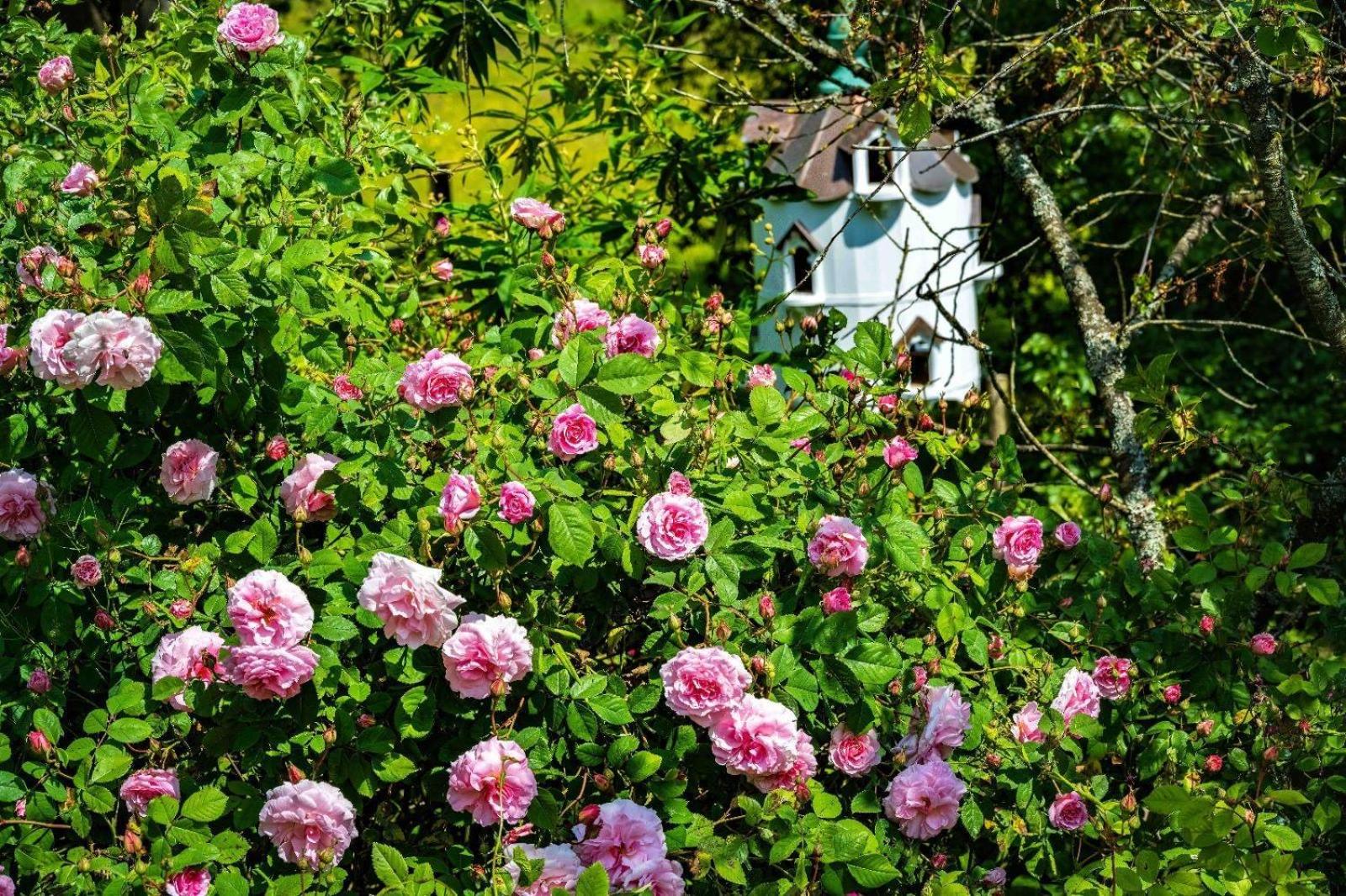 Ebony Cottage 滕伯里 外观 照片